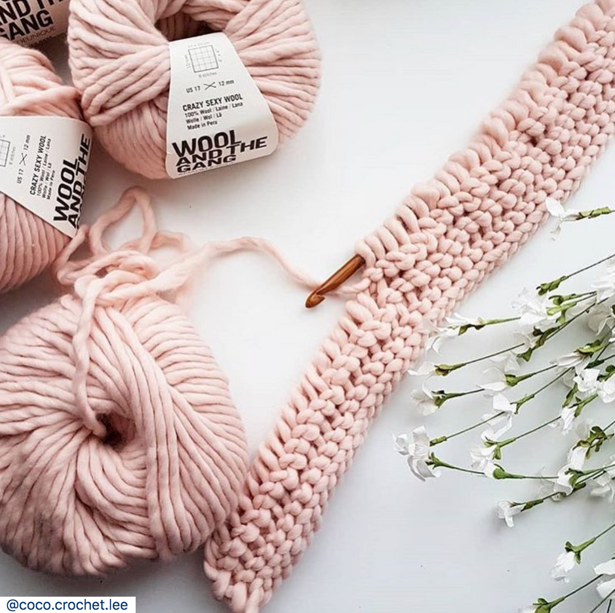 WATG Crazy Sexy Wool CAMEO ROSE