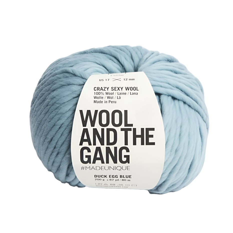 WATG Crazy Sexy Wool DUCKEGG BLUE