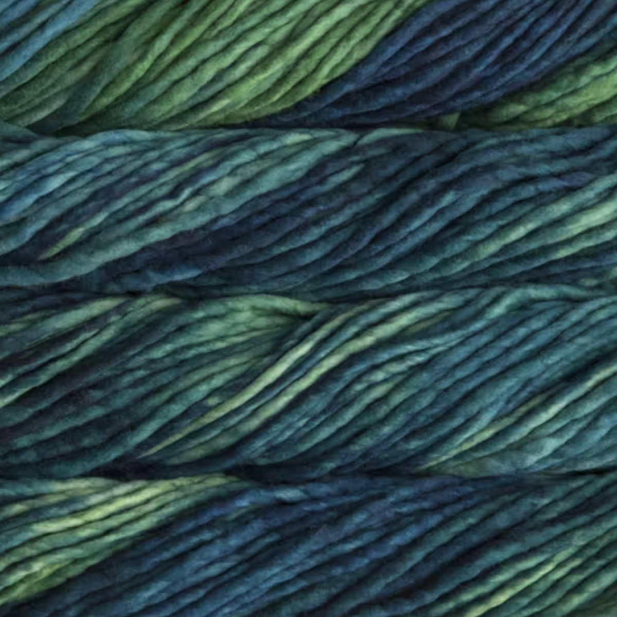 Malabrigo Rasta 809 SOLIS