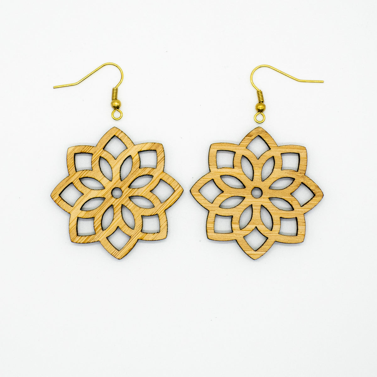 Earrings Dream Catcher Pair