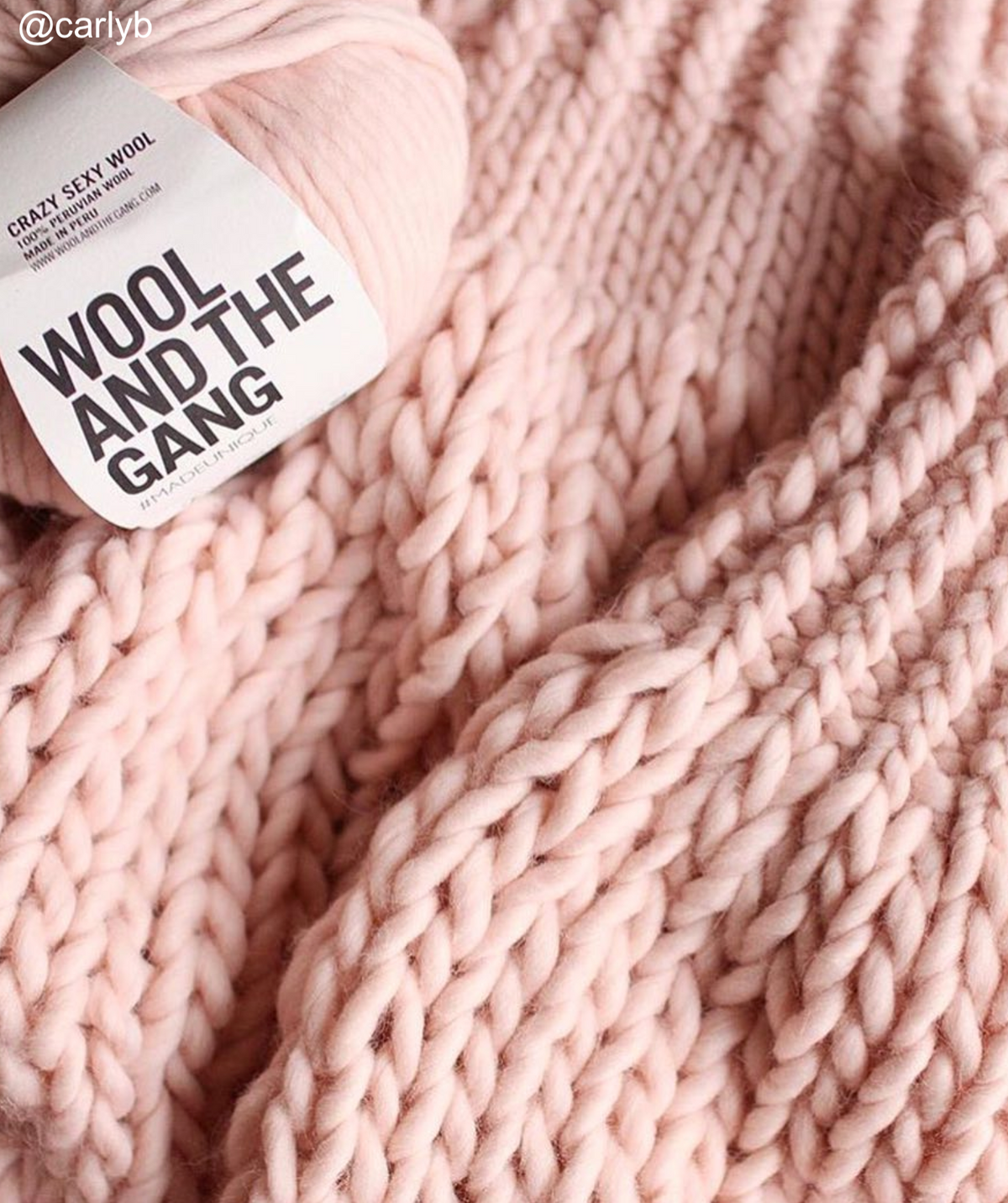 WATG Crazy Sexy Wool CAMEO ROSE