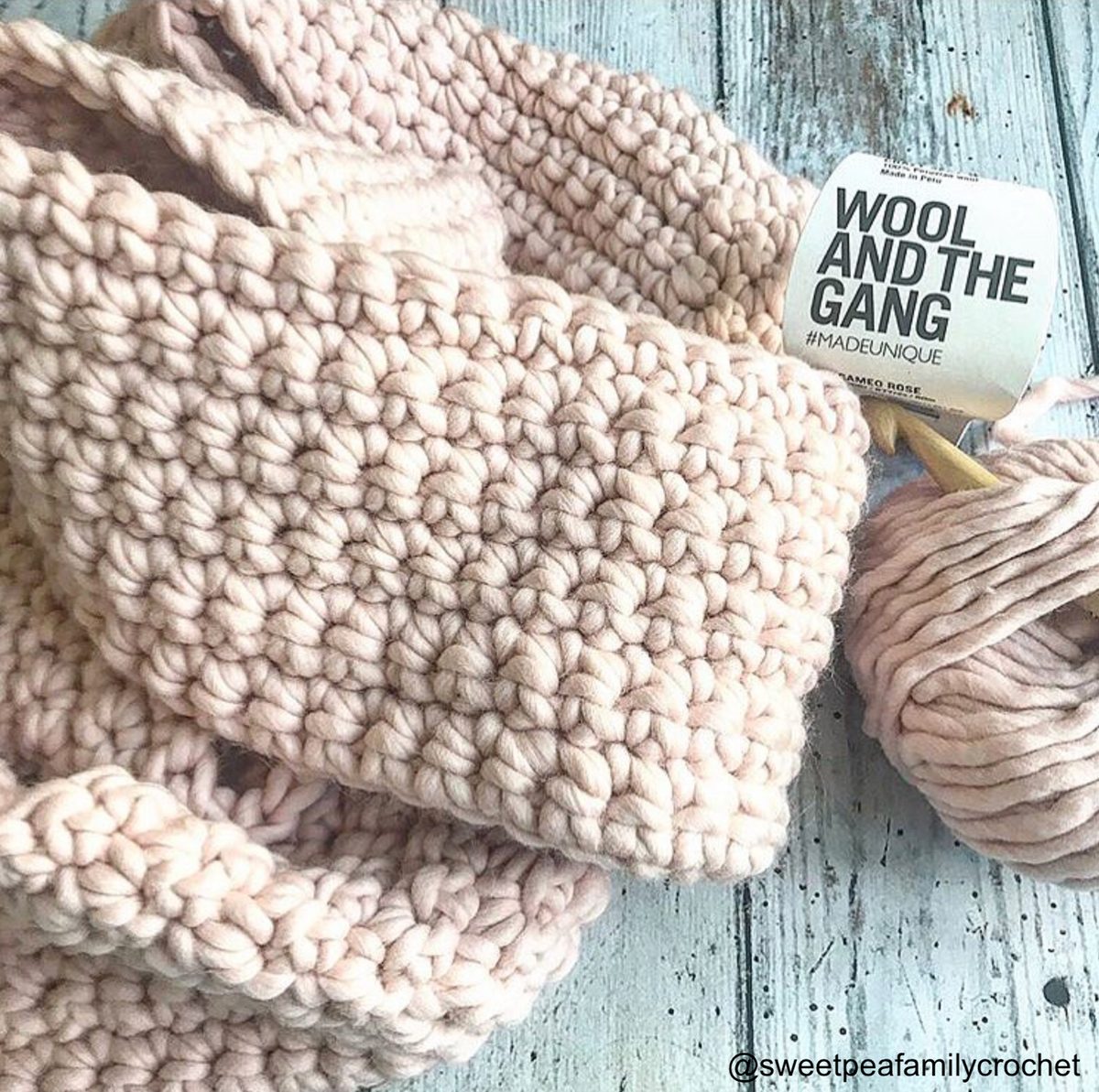 WATG Crazy Sexy Wool CAMEO ROSE