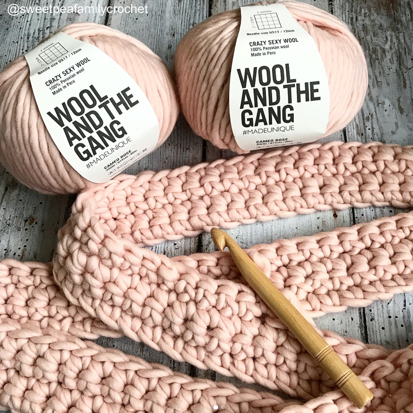WATG Crazy Sexy Wool CAMEO ROSE - Chunky Yarn Barn